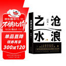 阎真：沧浪之水 豆瓣8.5分 入围茅盾文学奖 赠书签 胡军 于和伟主演高分电视剧岁月原著 小说