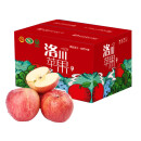 农鲜淘 洛川红富士苹果 8斤 单果约200-230g 生鲜水果脆甜苹果礼盒装