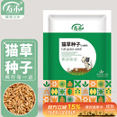 寿禾 猫草种子苗土培水培猫零食草籽 潍育中寿猫草(小麦草)种子1050g