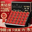 御京鲜丹东草莓99红颜奶油草莓水果多地次日达新鲜水果年货礼盒装 3斤特大果 单果30-40g 净重2.8斤 现摘现发