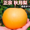 正宗山东秋月梨新鲜现摘莱阳冰糖梨雪梨蜜梨水果【净重2.5斤】 秋月梨 单果≥200g 3斤【净重2.5斤】
