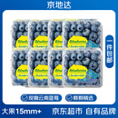 京地达云南蓝莓净含量115g*6盒单果15mm+京东自营新鲜水果 源头直发包邮