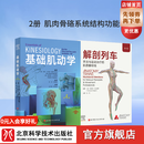 基础肌动学 : 第4版（新版） 运动康复 物理治疗 北京科学技术 解剖列车（第4版）＋基础肌动学