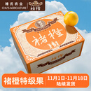 褚橙 云南冰糖橙  特级果 XL10斤装 单果约165g起 生鲜水果礼盒