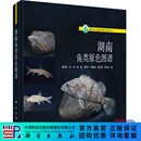 [按需印刷]湖南鱼类原色图谱/廖伏初 科学出版社