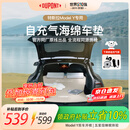 杜邦（DU PONT）杜邦适用特斯拉model Y 充气床垫驾车车载露营充气床睡觉可折叠