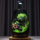 封茗【生命之树】生态瓶苔藓微景观青苔造景缸植物办公室绿植桌面盆栽 步步高升（悟空版）单景观+植物灯