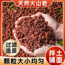 憨憨乐园火山石鱼缸造景底砂装饰滤材铺底养乌龟专用水草泥火山岩颗粒