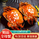 【活蟹】阳澄逍遥大闸蟹鲜活螃蟹全母2.7-3.0两8只现货中秋送礼盒生海鲜湖河蟹次日达