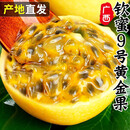 西广西钦蜜9号黄金百香果现摘新鲜水果当季水果 钦蜜9号黄金百香果<40g小果 1斤