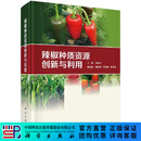 辣椒种质资源创新与利用