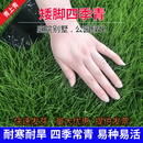 青上青进口草坪种子草籽四季常青矮生免修剪草种子绿化护坡草籽耐寒耐踏 矮脚四季青1斤【低矮茂密】