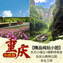 【重庆精品跟团小团】仙女山森林公园+天生三桥+龙水峡地缝AB线（2-8人纯玩小团） A线：仙女山森林公园+天生三桥+乌江观景台 成人