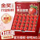 山姆伯伯红颜草莓【顺丰多地次日达】99奶油草莓非丹东水果礼盒酸草莓送礼 【超甜·臻选果】单果12-15g丨24粒/盒* 4盒装【划算-尝鲜推荐】20%人选