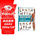 【包邮】肌肉力量训练彩色图谱 异步图书出品