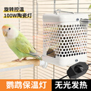 茨格曼鹦鹉保温灯芦丁鸡无光陶瓷防烫防咬取暖器鸟笼加热灯幼鸟过冬神器