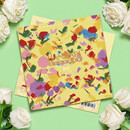 官方正版 瑞士班得瑞乐团 新世纪音乐 12寸+10寸双彩胶LP 黑胶唱片 ANDARI 春野One Day In Spring