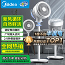 美的（Midea）【暴风循环】空气循环扇大风量摇头电风扇家用台式落地扇轻音卧室节能小风扇柔风轻羽扇 FGA24TQ