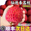 锁季黑叶荔枝【JD顺丰】冻眠荔枝液氮锁鲜多地次日达水果中秋礼盒送礼 仙进奉荔枝1000g【超人气推荐】±30g