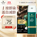 施华蔻（Schwarzkopf）怡然一按染泡泡染发乳5.65雾感茶棕染发剂轻松多次盖白