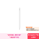 Apple/苹果 Pencil(USB-C) 磁吸触控笔手写笔苹果笔电容笔ipad笔 适用iPad 11/mini/Pro/Air