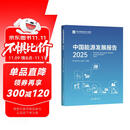 中国能源发展报告.2025