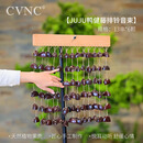 CVNC天然果壳铃印尼果壳铃铛瑜伽冥想手摇铃手工果壳排铃音束风铃 JUJU排铃+音束支架