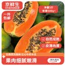 京鲜生 云南牛奶红心木瓜净重5斤 单果500g+ 源头直发 包邮