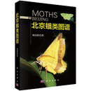 [按需印刷]北京蛾类图谱