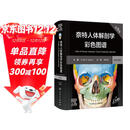 奈特人体解剖学彩色图谱（第8版）英汉对照 国际畅销解剖学图谱 临床医学基础医学必读