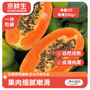 京鲜生 云南牛奶红心木瓜净重3斤 单果500g+ 源头直发 包邮