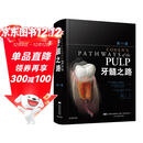 牙髓之路（第11版）全彩精装 口腔医学收藏级图书 辽宁科技