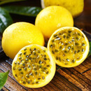 只投螺碗黄金百香果现摘新鲜水果当季水果产地直发整箱 大果【2斤】单果70-90g