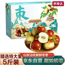 京地达山东沾化冬枣 净重5斤特大果 单果20g+ 新鲜水果 源头直发包邮