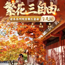 日本7天6晚旅游东京富士山+大阪+京都半自助跟团游【含机票签证】 上海出发 12月16日 成人