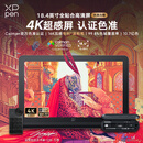 XPPen Artist Pro19(4K)数位屏 手绘屏连电脑专业绘画数位板笔记本液晶画板手绘板AP19手写板电子绘画板