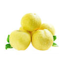 老树冰糖酥梨2-3粒约650g