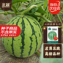 北蔬 冰糖麒麟西瓜种子种苗超甜脆四季水果种籽 冰糖麒麟瓜种子约50粒