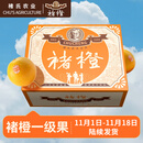 褚橙 云南冰糖橙  一级果 M 10斤装 单果约100g起 生鲜水果礼盒