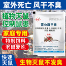 新贝奥（BIAO）雷公藤甲素强力老鼠药正宗家用特效饵剂克星三步到室外死颗粒