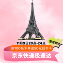 乐高（LEGO）积木世界建筑粉丝收藏款礼物10307埃菲尔铁塔生日礼物家居装饰