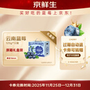 京鲜生【电子卡券】云南蓝莓 18mm 12盒原箱礼盒（单盒净重125g）