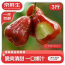 京鲜生 海南黑金刚莲雾 净重3斤装单果100g+ 新鲜水果源头直发包邮