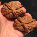 沭白38mm精品白狮子天然正四棱收藏级多棱文玩把玩野生手盘核桃