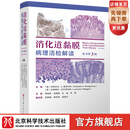 消化道黏膜病理活检解读（原书第3版） 默认