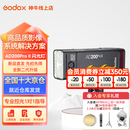 神牛AD200pro二代闪光灯锂电池口袋便携外拍摄影补光灯单反相机高速TTL闪光灯 AD200proII【入会享好礼-灯架/惊喜礼包】 官方标配（引闪器套餐需备注相机型号）