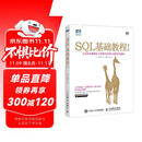 SQL基础教程 第2版(图灵出品)