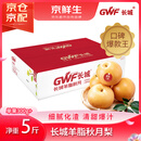 京鲜生 长城羊脂秋月梨 正宗大果 净重5斤 6-8粒 生鲜水果礼盒