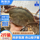 海速达源头直发海速达舟山海捕新鲜梭子蟹1kg 共7-9只鲜活冷冻螃蟹海蟹飞蟹白蟹