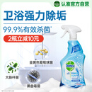 滴露（Dettol）浴室清洁剂750ml玻璃厕所卫生间马桶清洁剂泡沫洁厕液喷雾